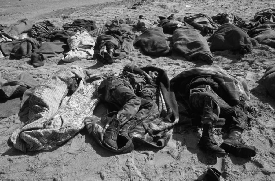 Iraqi Bodies On The Highway Of Death