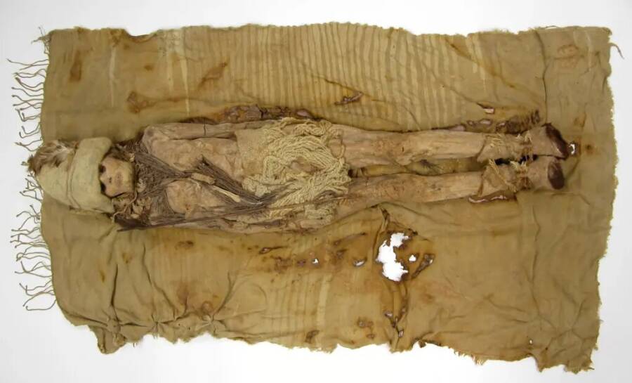 Worlds Oldest Cheese Chinese Mummy