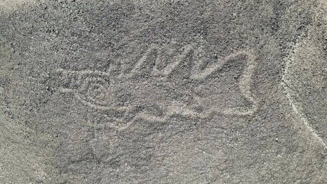 Killer Whale Nazca Lines