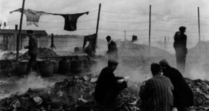 Lee Miller Concentration Camp Photo Featured