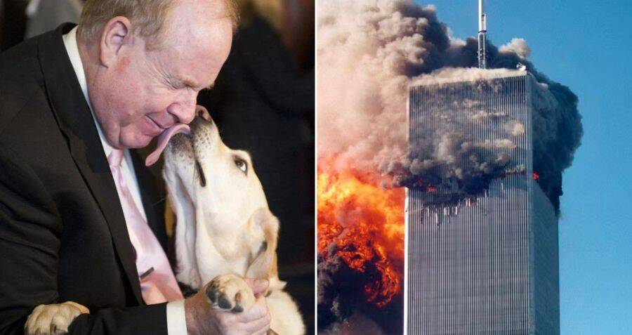 9/11 Rescue Dogs: The Heroic Canines Who Helped Save Lives