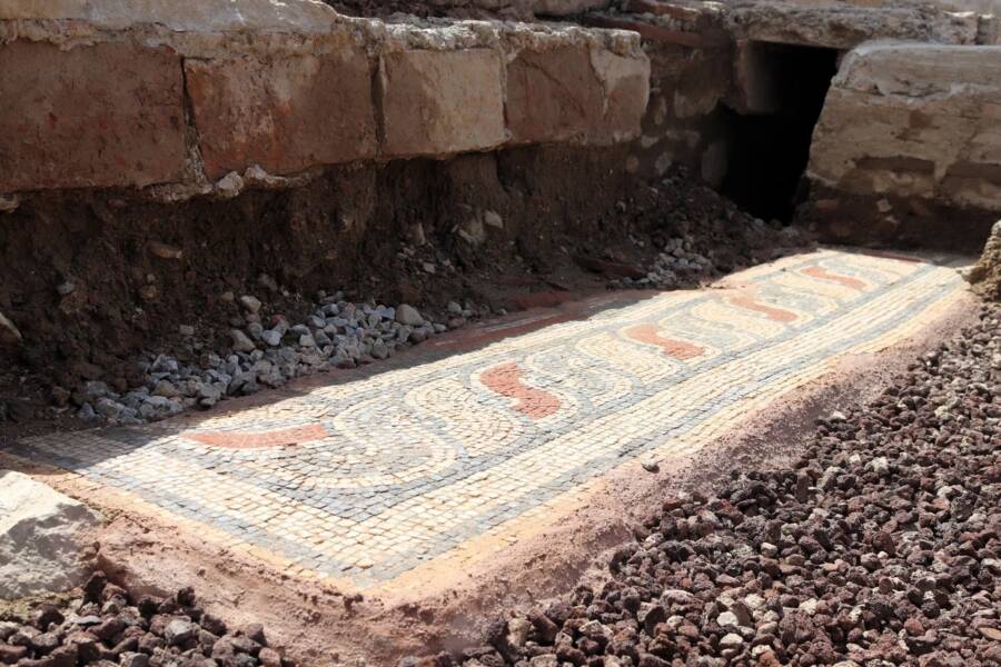 Mosaic Beneath Roman Gladiator Sarcophagus