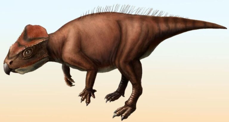 New Dinosaur Sasayamagnomus Saegusai Featured