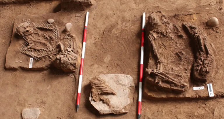 Remote Malaysian Cave Burials Featured