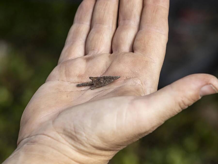 Roman Arrowhead Found At Military Camp Site