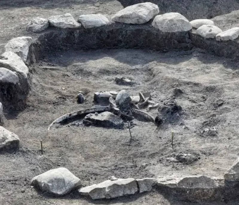 Roman Chariot Unearthed In Bulgaria