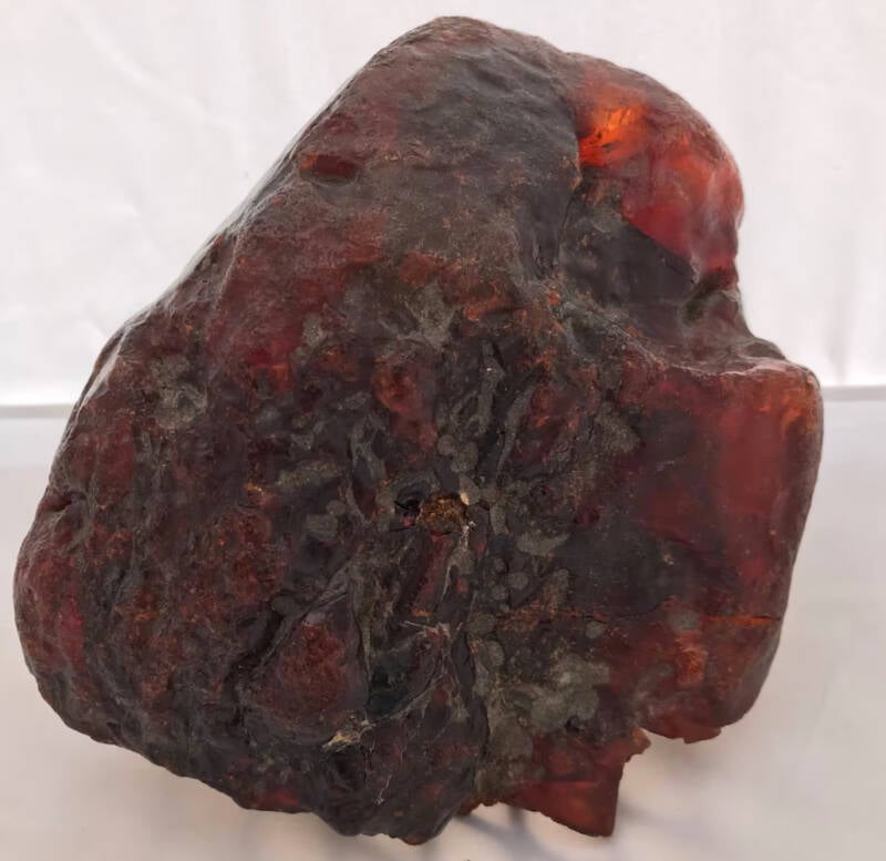 Largest Chunk Of Romanian Amber