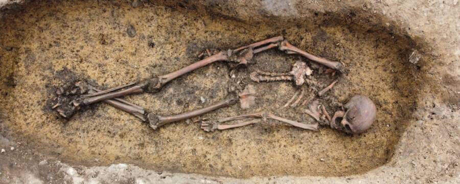 Skeleton From Asum Excavation