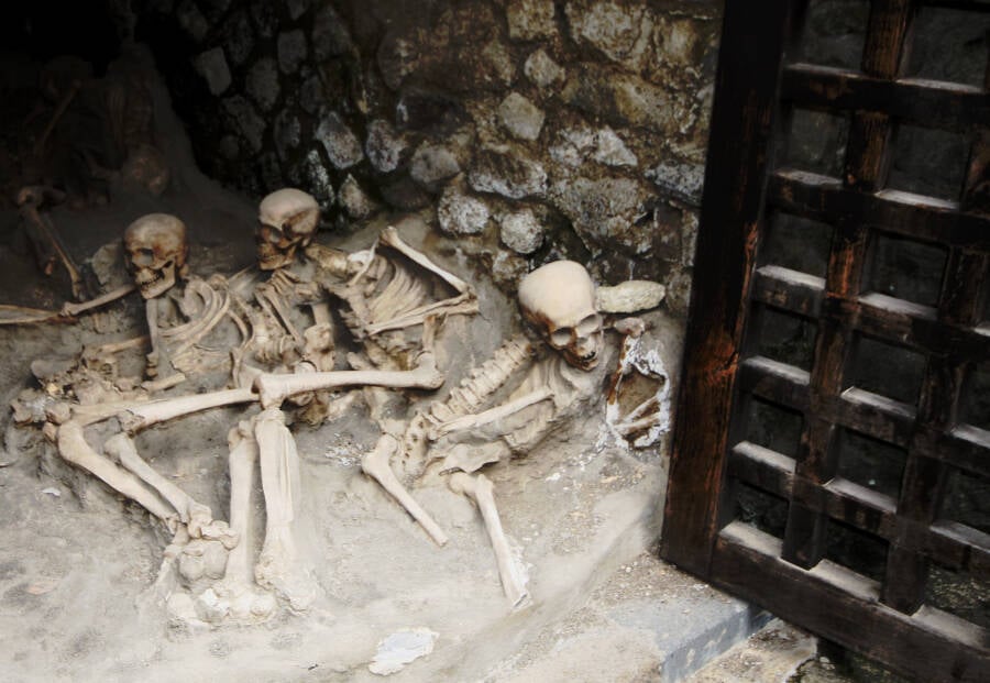 Skeletons In Herculaneum