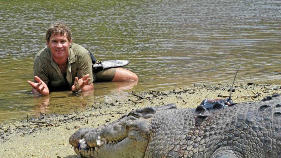 Steve Irwin