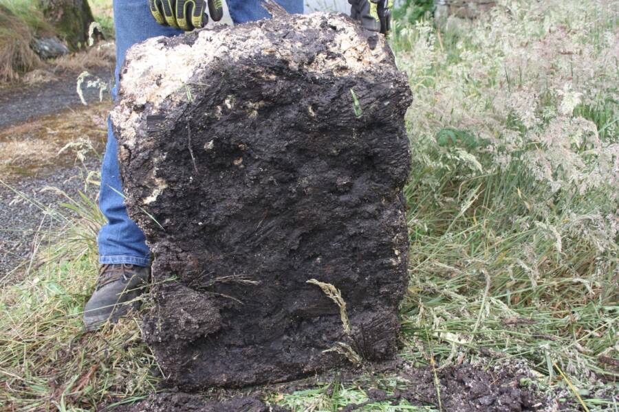 Bog Butter In Ireland