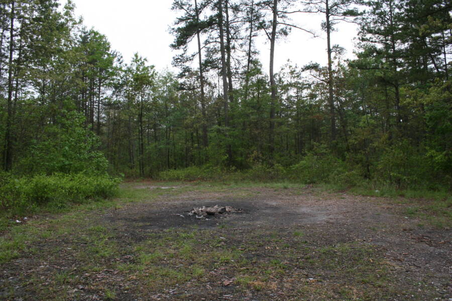 Devils Tramping Ground Haunted Forests