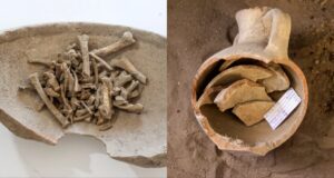 Featured Infant Bones In Turkiye