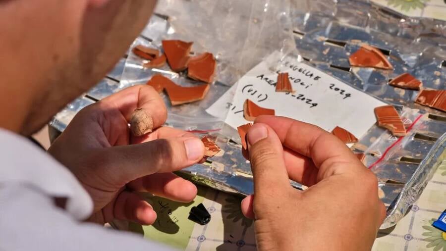 Fregellae Pottery Shards