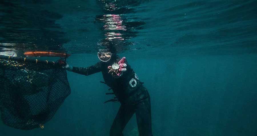 The Haenyeo, South Korea's Fearless 'Sea Women'