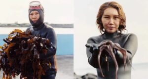Haenyeo Female Divers Featured