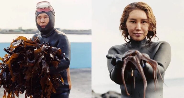 Haenyeo Female Divers Featured