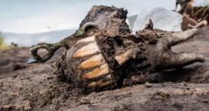 Horse Sacrifice Featured