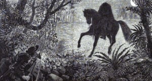 Irish Folklore Creatures Featured