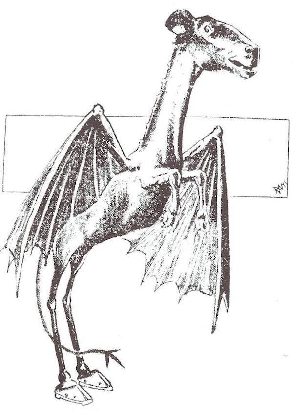 Jersey Devil Newspaper Sketch