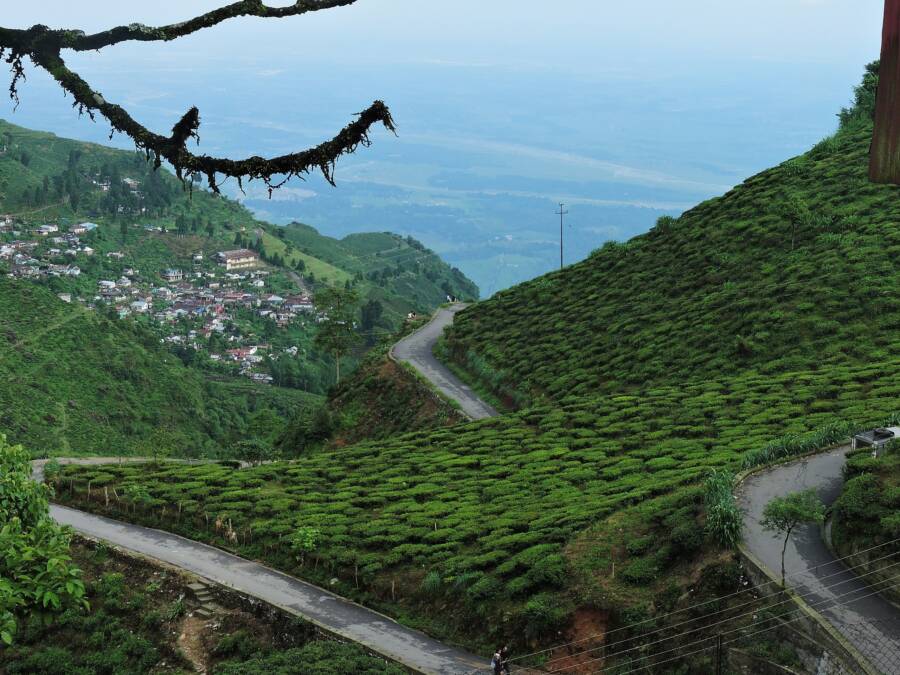 Kurseong India