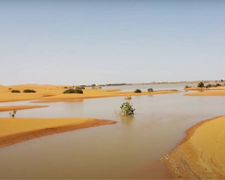 The Sahara Desert Has Flooded For The First Time In Decades