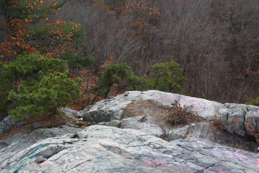 Rocks In Freetown State Forest