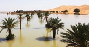 Sahara Desert Flooding Featured