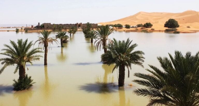 Sahara Desert Flooding Featured