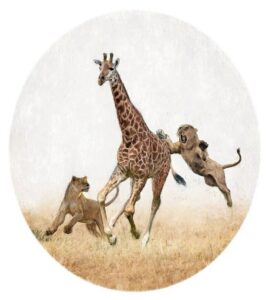 Diet Of Man-Eating Lions Of Tsavo Revealed By DNA Analysis