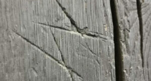 Tudor Witch Marks Featured Image