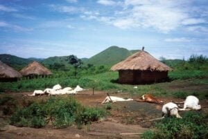 Inside The Lake Nyos Disaster That Killed Over 1,700 People