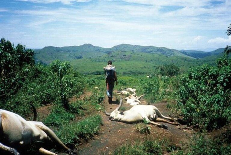 Inside The Lake Nyos Disaster That Killed Over 1,700 People