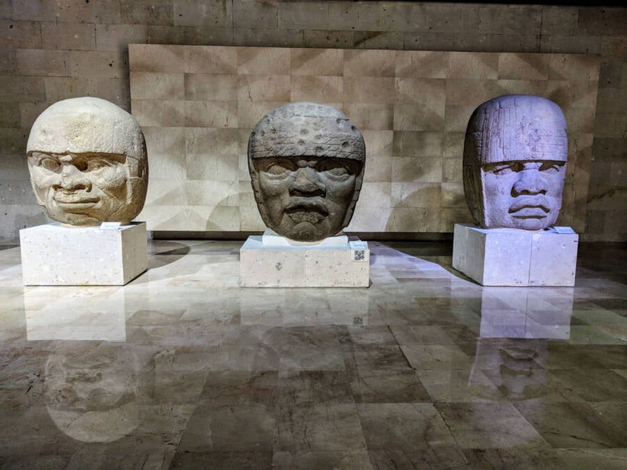 Museum Olmec Heads