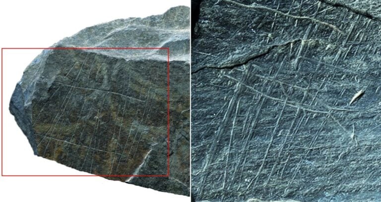 Net Engraving Alongside Fish Engraving Featured