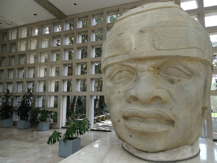 Olmec Museum Head