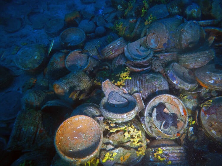 Ayvalık Shipwreck Artifacts