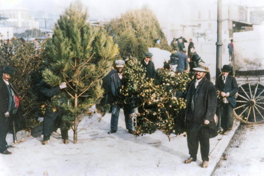 Men Selling Christmas Trees