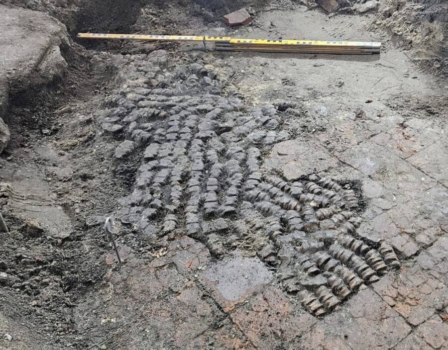 Cow Bone Floor In Netherlands