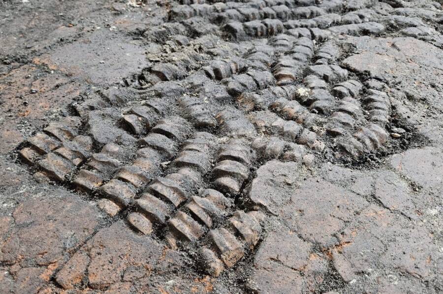 Floor Made From Bones