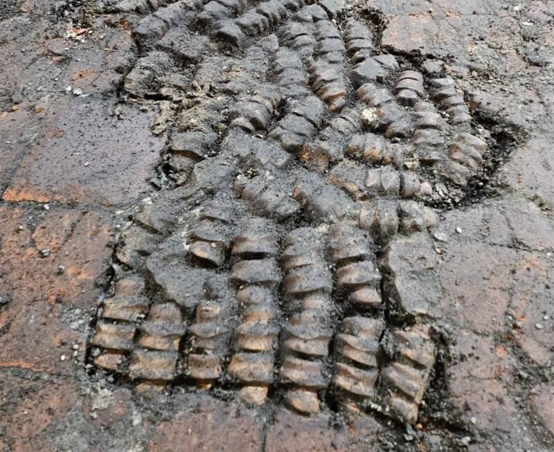 Alkmaar Floor Made From Cow Bone