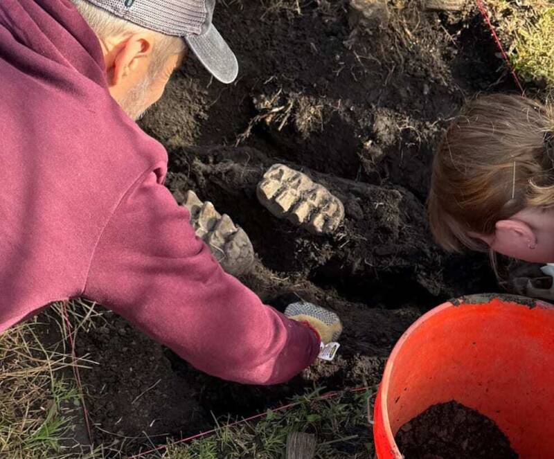 Mastodon Jaw Found Near Scotchtown New York