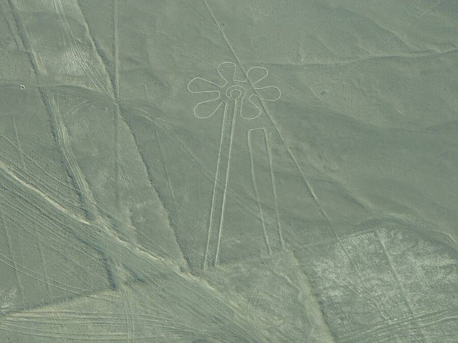 Nazca Geoglyph