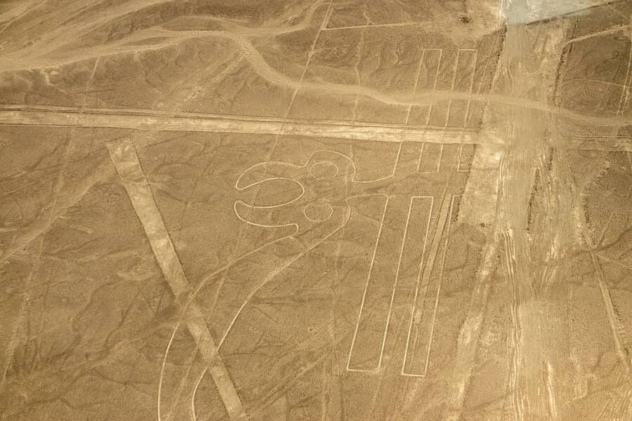 Nazca Line Etching