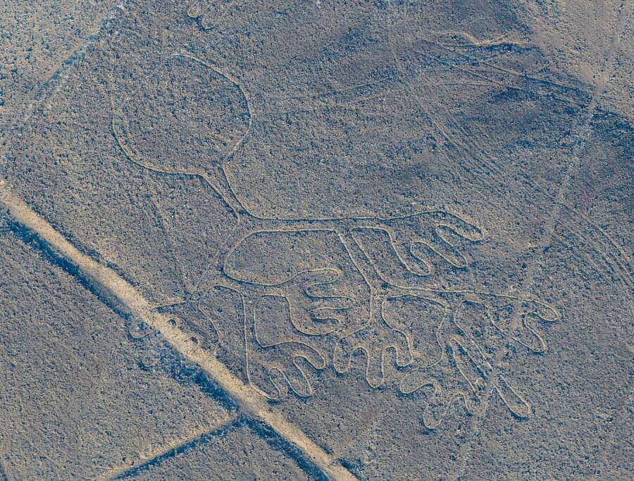 Nazca Lines