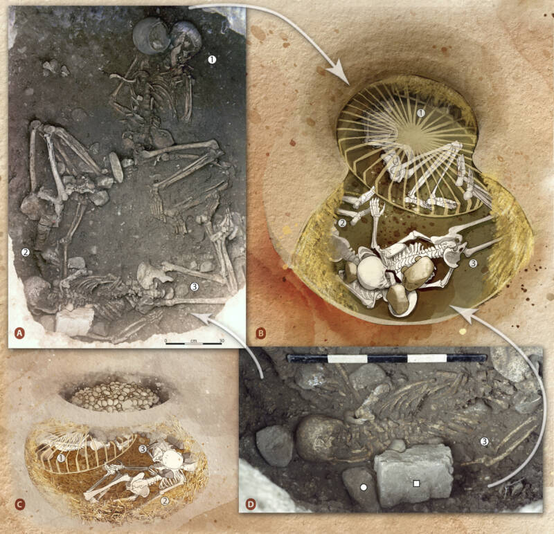 Neolithic Skeletons