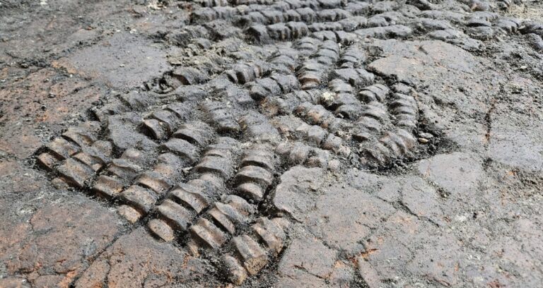 New Holland Bone Floor Featured