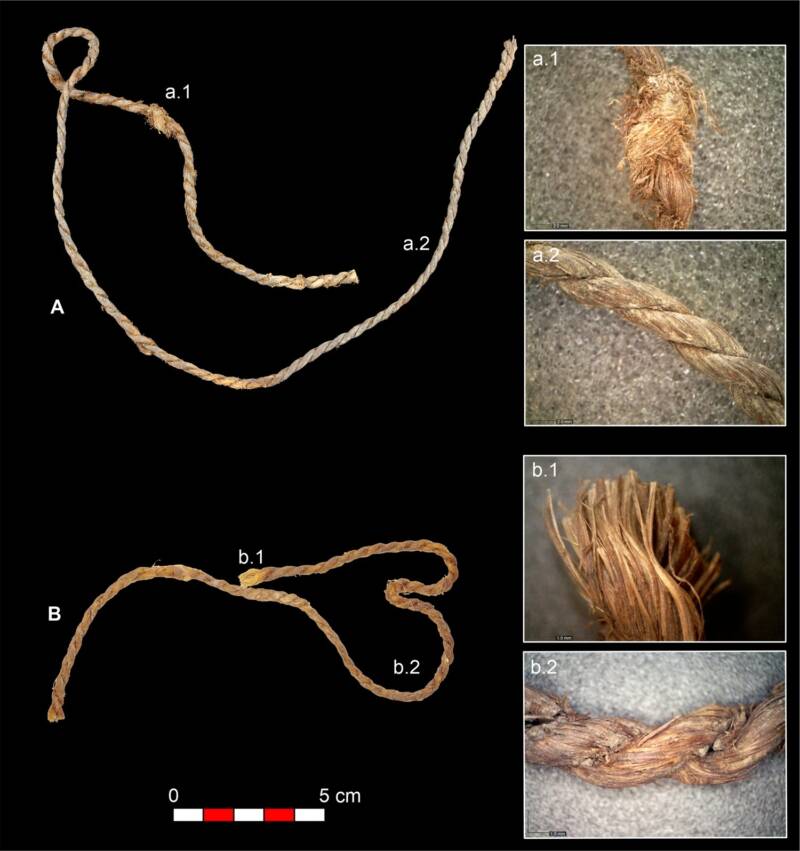 Oldest Bowstrings Europe