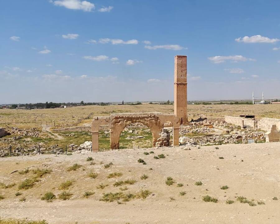 Harran Turkiye Ritual Dog Burials