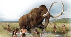 Woolly Mammoth Extinction Featured